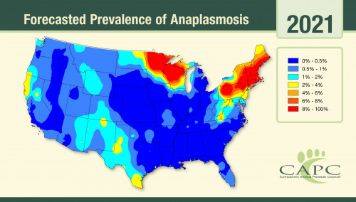 Anaplasma spp. Forecast 2021 | Pets & Parasites: The Pet Owner's ...